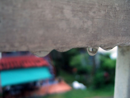 dscf8481.jpg