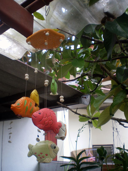 imgp1143.jpg