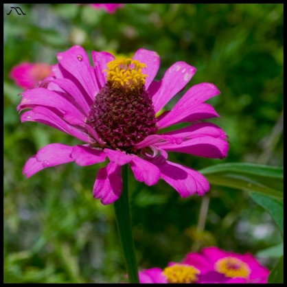 dsc_0120 dsc_0120