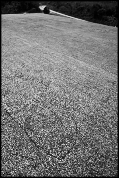dsc_0409 dsc_0409