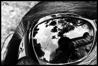 dsc_0425 dsc_0425