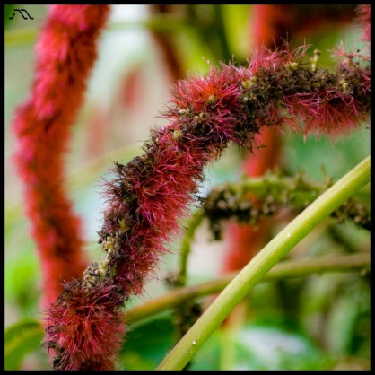 dsc_04362 dsc_04362