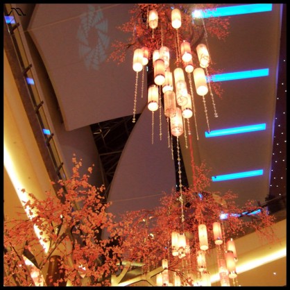 dscf8570 dscf8570