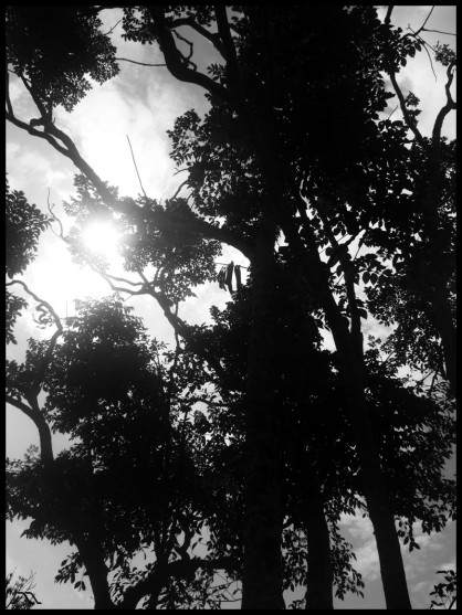 dscf8896 dscf8896