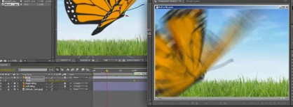 butterflty butterflty