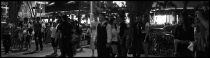 dsc_0413 dsc_0413