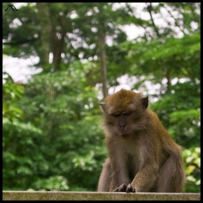 dsc_0436 dsc_0436