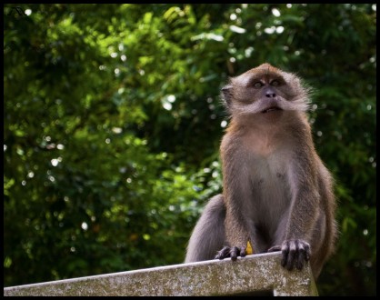 dsc_0439 dsc_0439