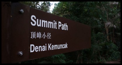 dsc_0556 dsc_0556
