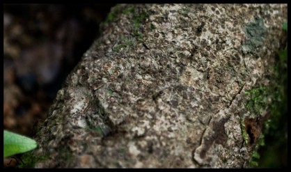 dsc_0573 dsc_0573