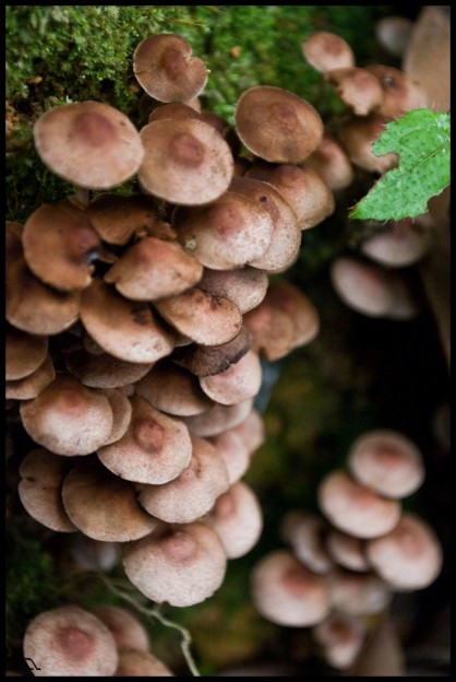 dsc_0574 dsc_0574