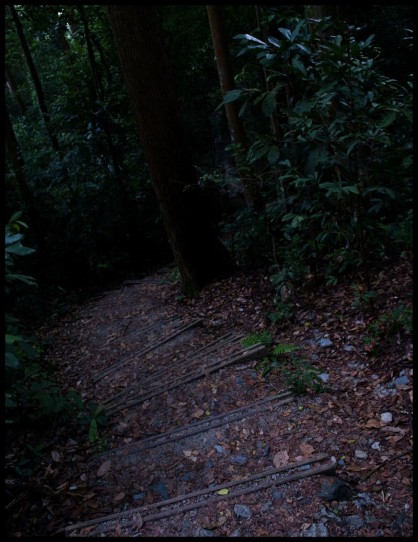 dsc_0582 dsc_0582