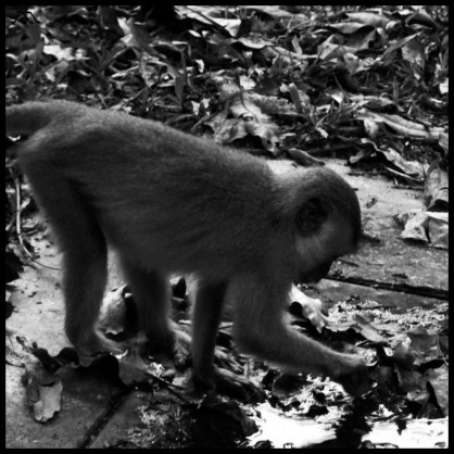 dsc_0605 dsc_0605