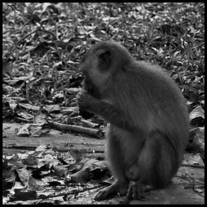 dsc_0606 dsc_0606