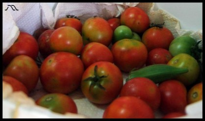 dscf4926 dscf4926