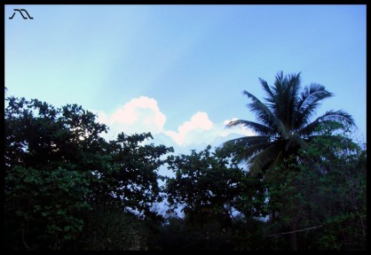 dsc04337