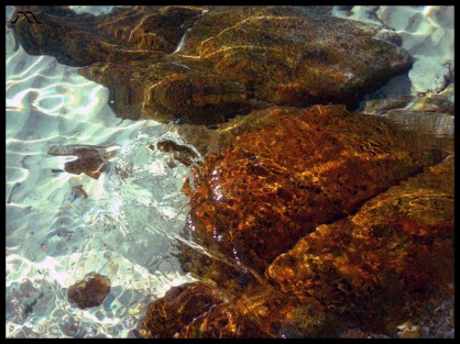 dscn5933