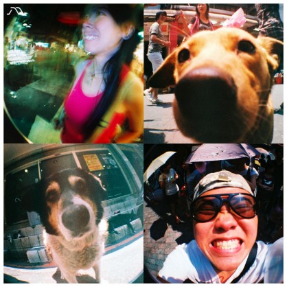 lomo
