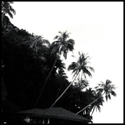 p1030913