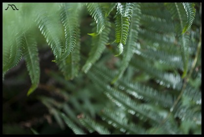 DSC_2163 DSC_2163