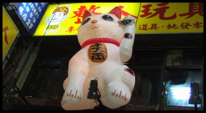 DSCF9978