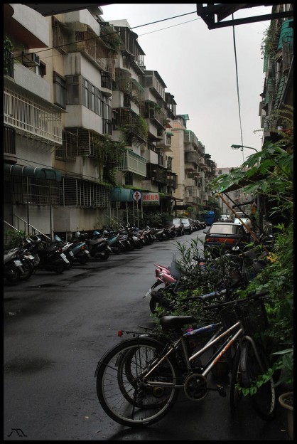 DSC_1495