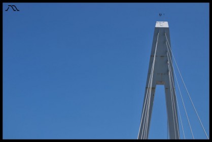 DSC_1543