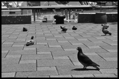 DSC_1580