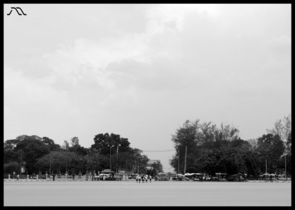 DSC_5309